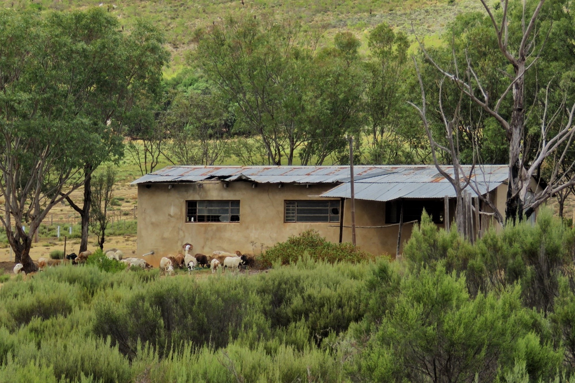 3 Bedroom Property for Sale in Uniondale Rural Western Cape